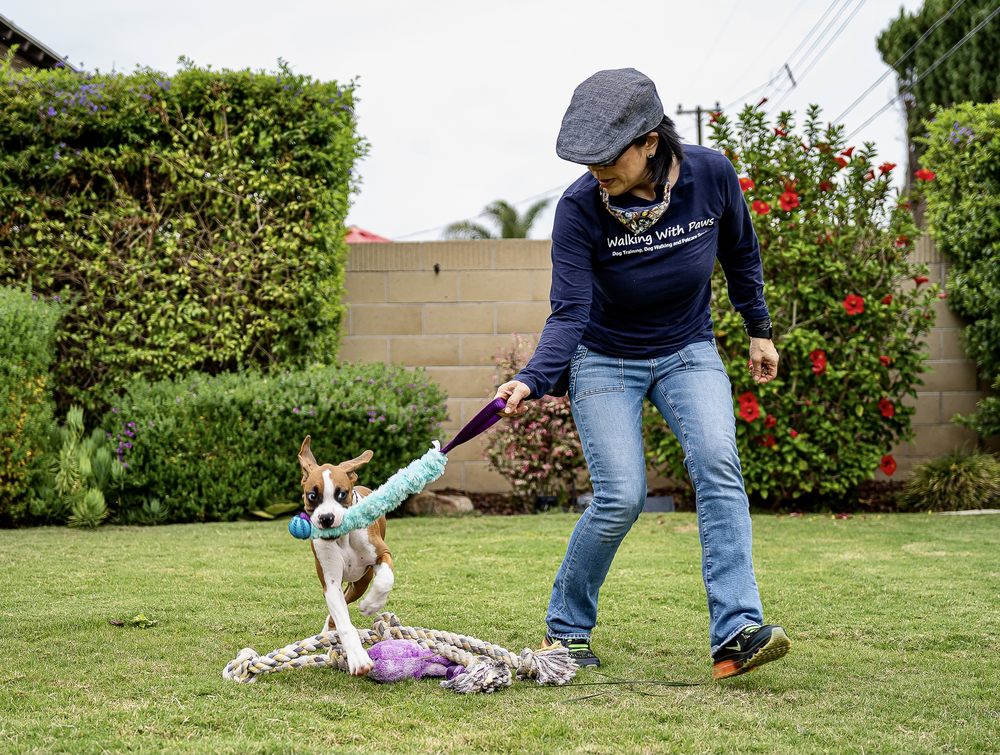 WHERE DOGS THRIVE 80 Photos Huntington Beach, California Pet