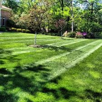 Liberty Lawn Maintenance - Grass Cutting Delta, BC - Landscaping Near Me - Surrey, British Columbia Liberty Lawn Maintenance - Grass Cutting Delta, BC - Landscaping Near Me - Surrey, British Columbia