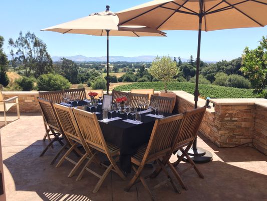 Fog Crest Vineyard by null