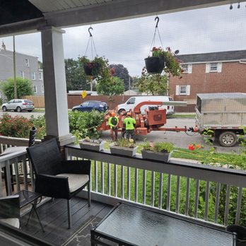 Santos Tree Services - Tree Services Near Me - Philadelphia, Pennsylvania