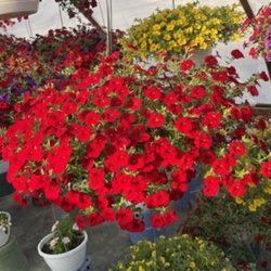Fonseca's Farm & Greenhouses