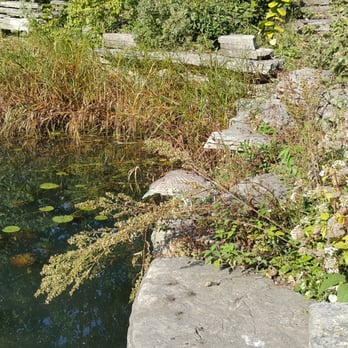 Alfred Caldwell Lily Pool - Parks Near Me - Chicago, Illinois