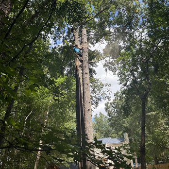 Premier Tree Service - Tree Services Near Me
