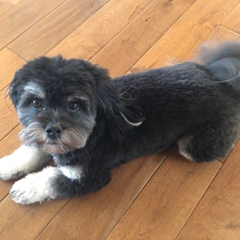Animal Friends Rescue Project - Animal Shelters Near Me - Pacific Grove, California