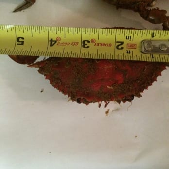 Crab Bag - Seafood Near Me - Ocean City, Maryland