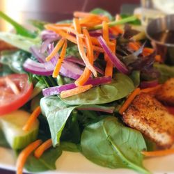 Ted's Stadium Kitchen and Pub - Side salad. Fresh mix of greens.