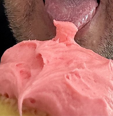 ScottCakes by null
