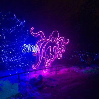 Denver Zoo Lights - Festivals Near Me - Denver, Colorado
