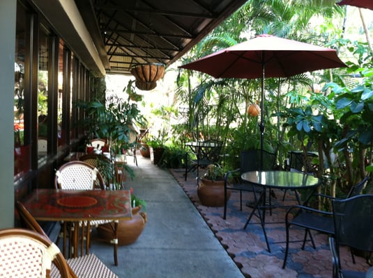 Barefoot Buddha by null