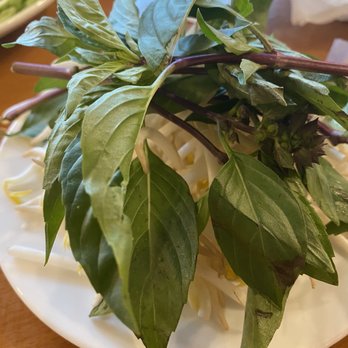 Pho Pasteur - Vietnamese Near Me - Quincy, Massachusetts