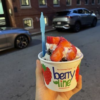 BerryLine - Ice Cream & Frozen Yogurt Near Me - Cambridge, Massachusetts BerryLine - Ice Cream & Frozen Yogurt Near Me - Cambridge, Massachusetts