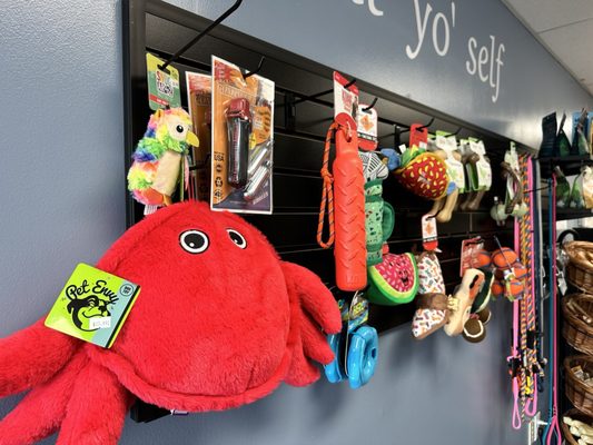 Paws Canine Activity Center