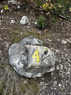 Balcones Canyonlands National Wildlife Refuge by null