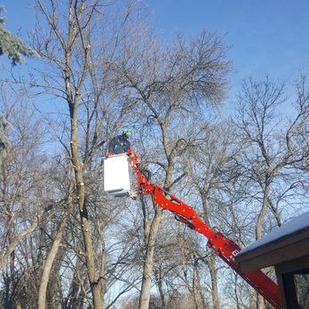Renstrom Tree Service - Tree Services Near Me