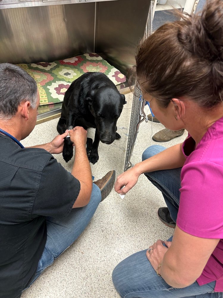 CODY VETERINARY HOSPITAL Updated March 2024 5524 Greybull Hwy, Cody