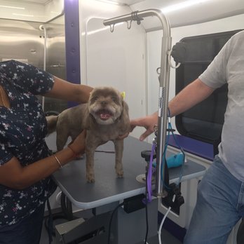 Happy Paws & Wagging Tails - Pet Groomers Near Me Happy Paws & Wagging Tails - Pet Groomers Near Me