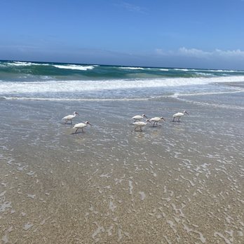 Jensen Beach - Beaches Near Me - Jensen Beach, Florida