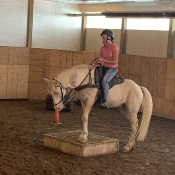 WindWalker Farms - Horseback Riding Near Me - Fenton, Michigan WindWalker Farms - Horseback Riding Near Me - Fenton, Michigan