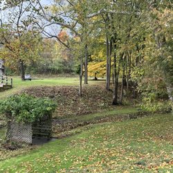 Dinges Lawn Care and Landscape - A hillside we recently cleared