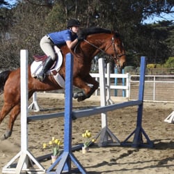 Monterey Bay Horsemanship & Therapeutic Center - Outdoor arena!