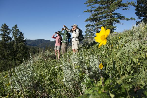 The Hole Hiking Experience by null