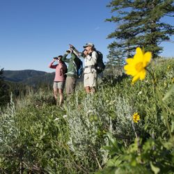 The Hole Hiking Experience