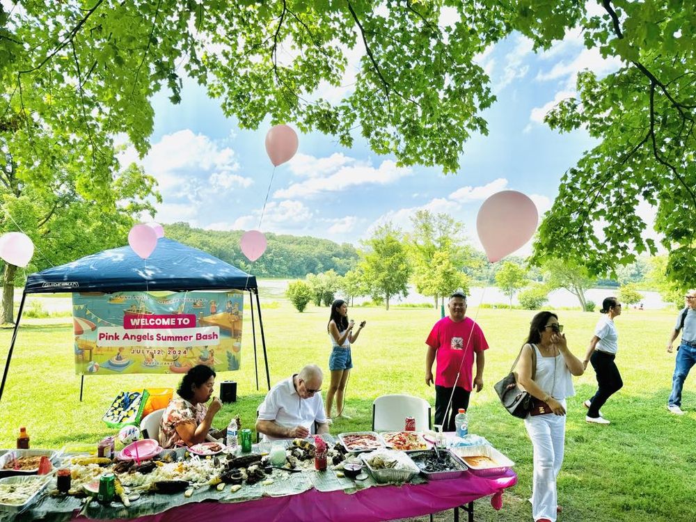 Pink Angels Home Caregivers - home care agency in Orland Park, IL