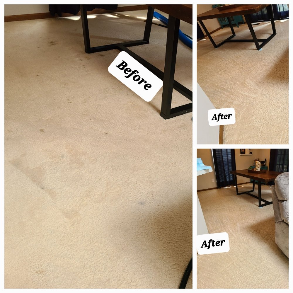 PRISTEEN STEAM CARPET CLEAN Request a Quote 12 Photos Columbus