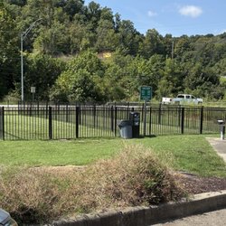 Dog Run