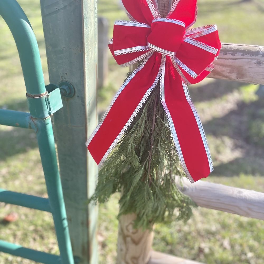 Garden Valley - Festive bows on the gate! - Parks Near Me - Garden Valley, California Garden Valley - Festive bows on the gate! - Parks Near Me - Garden Valley, California