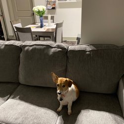Athenas Furniture Outlet