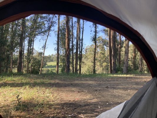 Anthony Chabot Regional Park by null