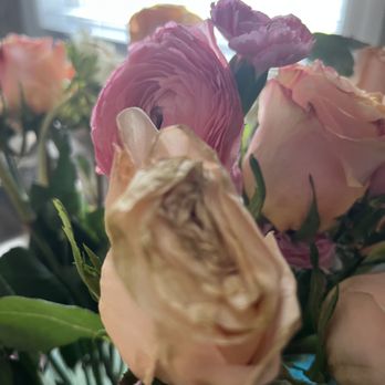 UrbanStems - Florists Near Me UrbanStems - Florists Near Me