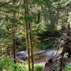 Brother's Creek Loop - June 1, 2025.