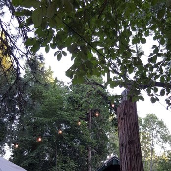 LouEddie's Pizza - Peaceful setting - Pizza Near Me - Skyforest, California