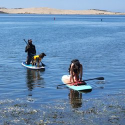 A Kayak Shack