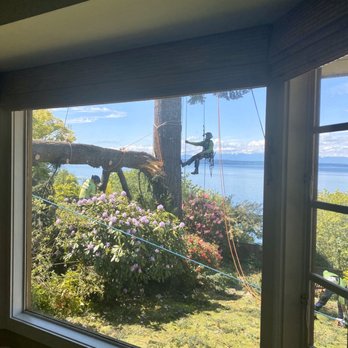 Northwest Arboriculture - Tree Services Near Me - Snohomish, Washington Northwest Arboriculture - Tree Services Near Me - Snohomish, Washington