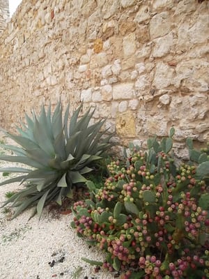 Castello Maniace by null