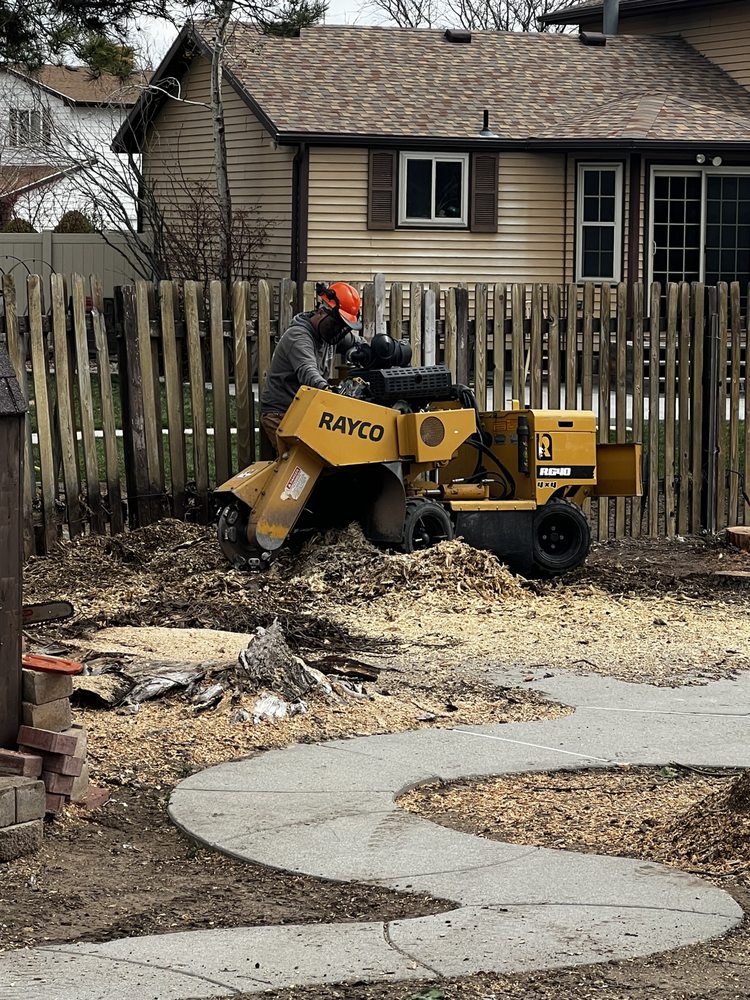 UTAH STUMP GRINDERS Updated 2024 25 Photos 1530 W Smiley Dr, Taylorsville, Utah Tree