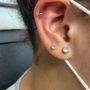 Photo of Saki’s Piercings