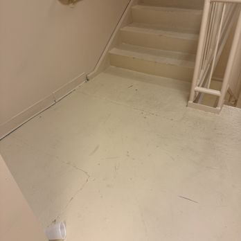 Embassy Suites by Hilton Columbus Dublin - This cup has been chilling in the stairwell for over a week - Hotels Near Me - Dublin, Ohio