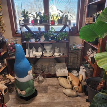 The Garden - Nurseries & Gardening Near Me - Schenectady, New York