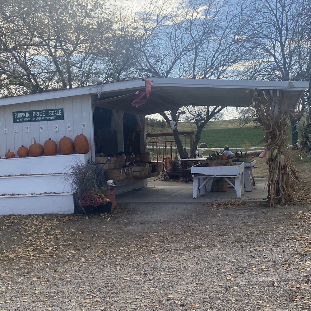 Sass Family Farm - Pumpkin Patches Near Me - Riverside, Iowa Sass Family Farm - Pumpkin Patches Near Me - Riverside, Iowa