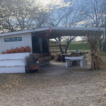 Sass Family Farm - Pumpkin Patches Near Me - Riverside, Iowa Sass Family Farm - Pumpkin Patches Near Me - Riverside, Iowa