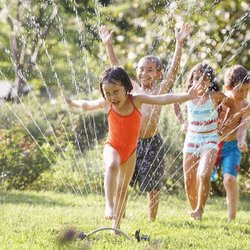 Wilderwood Camps
