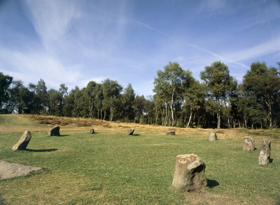 Nine Ladies Stone Circle by null