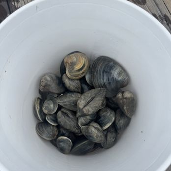 First Due Charters - Fishing Near Me - Emerald Isle , North Carolina