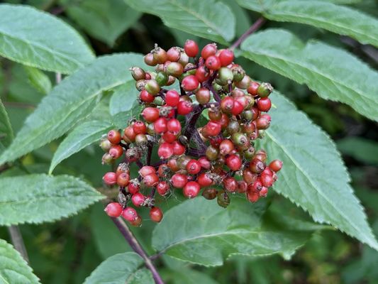 Kenai Fjords National Park by null