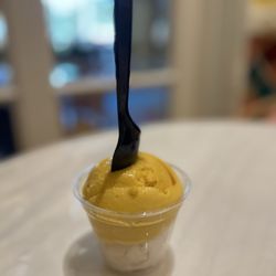 Cafe Gelato - Mango/lemon sorbet