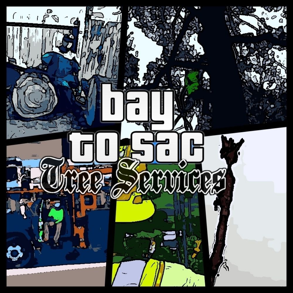 Bay to Sac Tree Services - tree service in Fairfield, CA